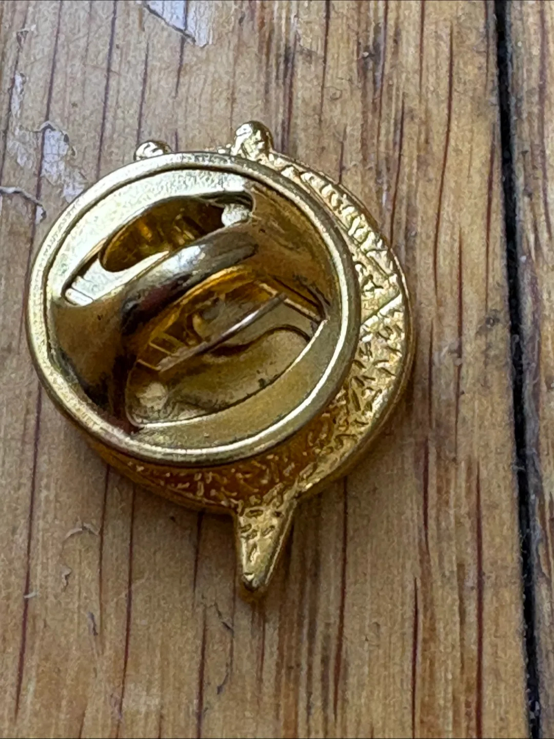 NASA Lapel Pin image indicator(3)