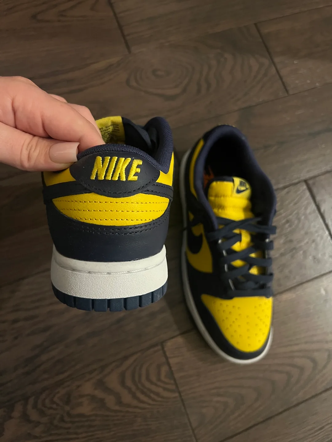 Nike Dunk Low Retro Michigan image indicator(3)