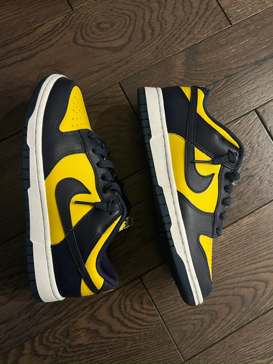 Nike Dunk Low Retro Michigan image indicator(5)