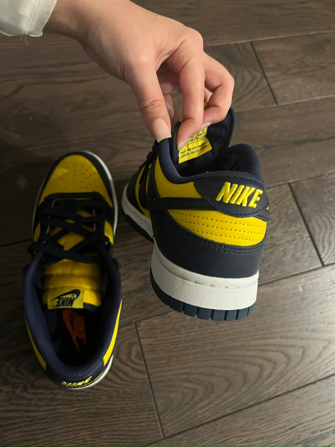 Nike Dunk Low Retro Michigan image indicator(2)