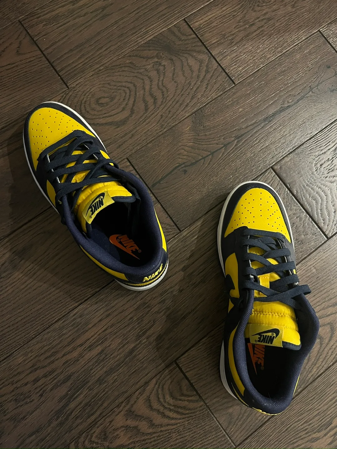 Nike Dunk Low Retro Michigan image indicator(6)