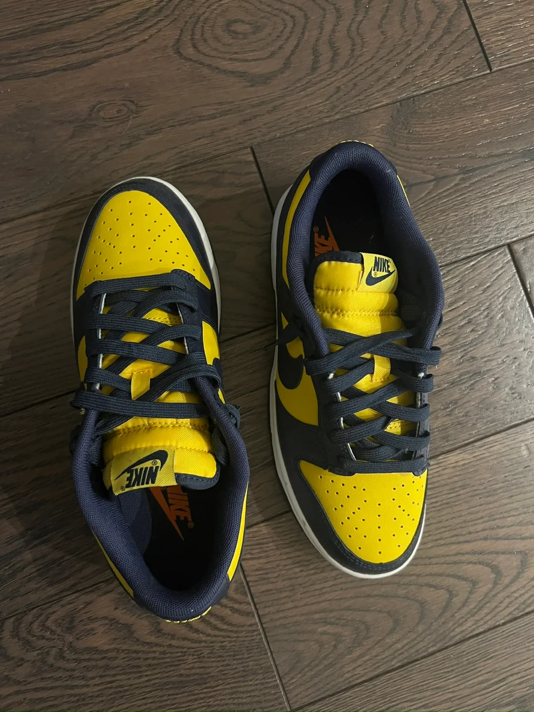 Nike Dunk Low Retro Michigan image indicator(4)