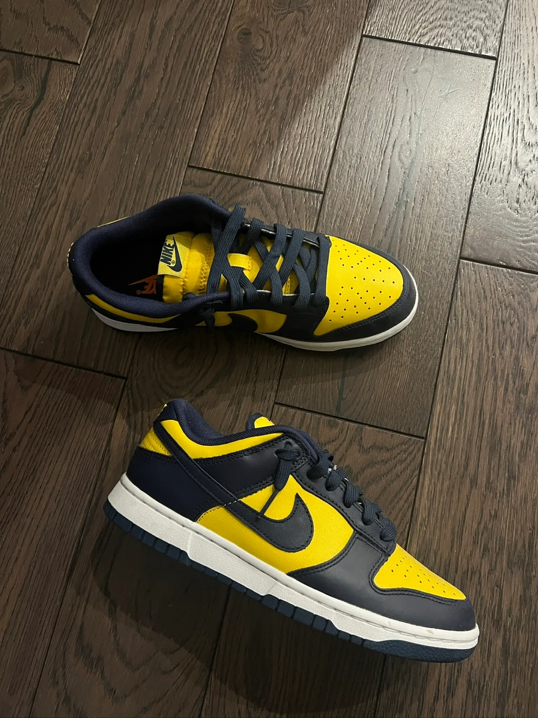 Nike Dunk Low Retro Michigan image indicator(9)