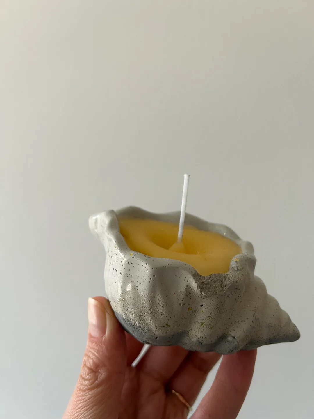 Handmade Concrete Beeswax Candle Seashell thumbnail