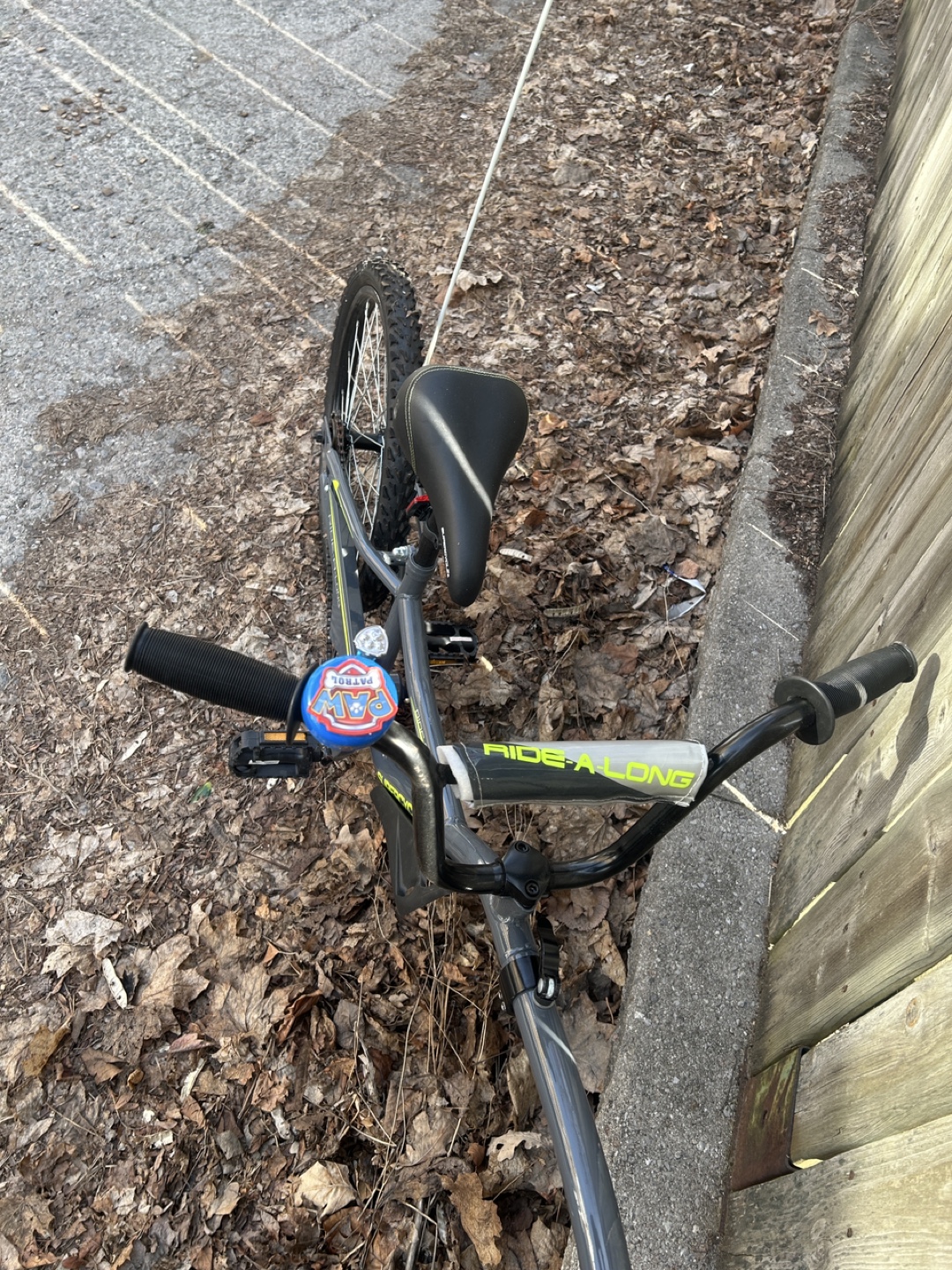 Kids' Ride-Along Trailer Bicycle - photo 2
