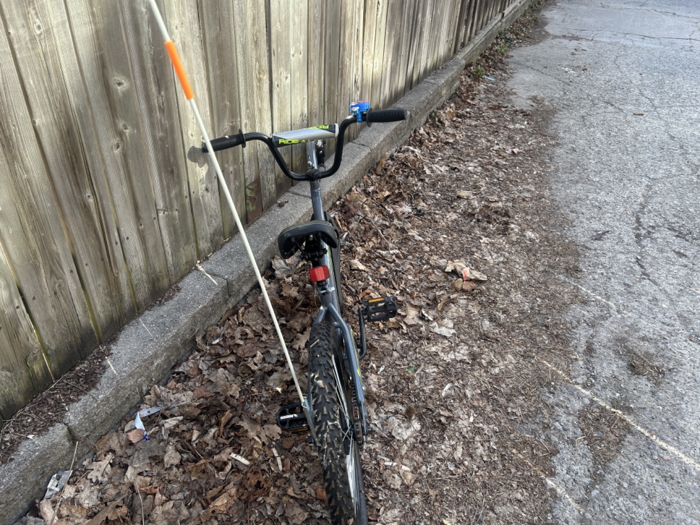 Kids' Ride-Along Trailer Bicycle - photo 3