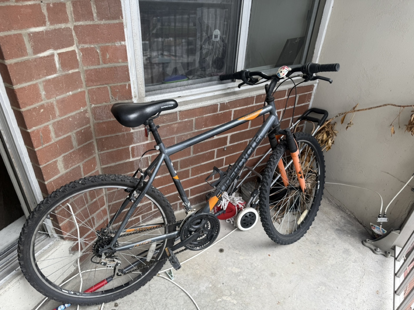 Cycle