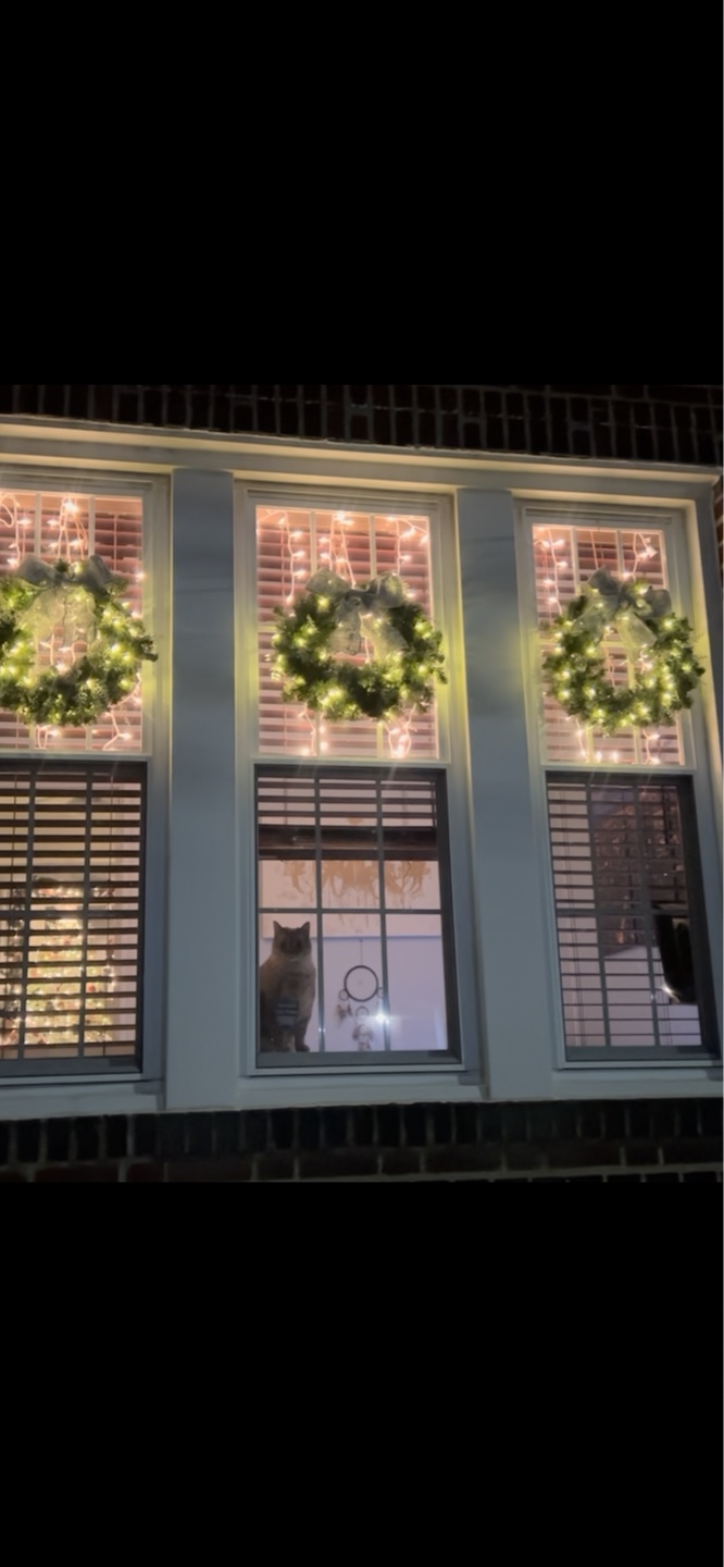 Set of 4 Pre-lit Christmas Wreaths - photo 3