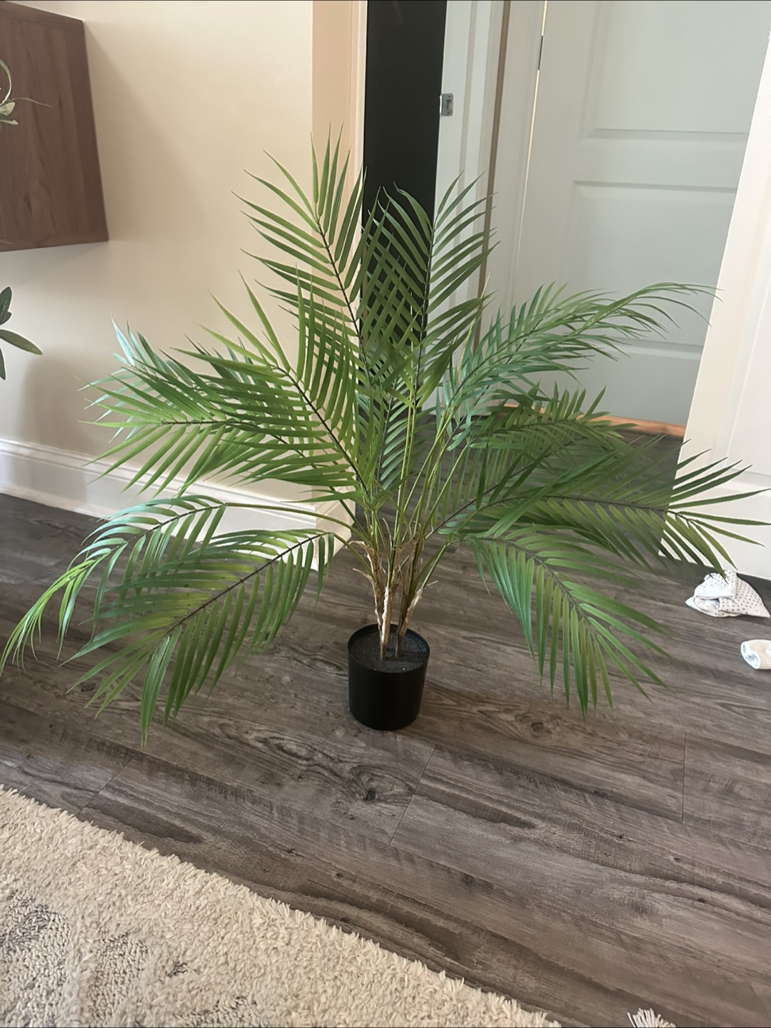 Faux Areca Palm Plant in Black Pot