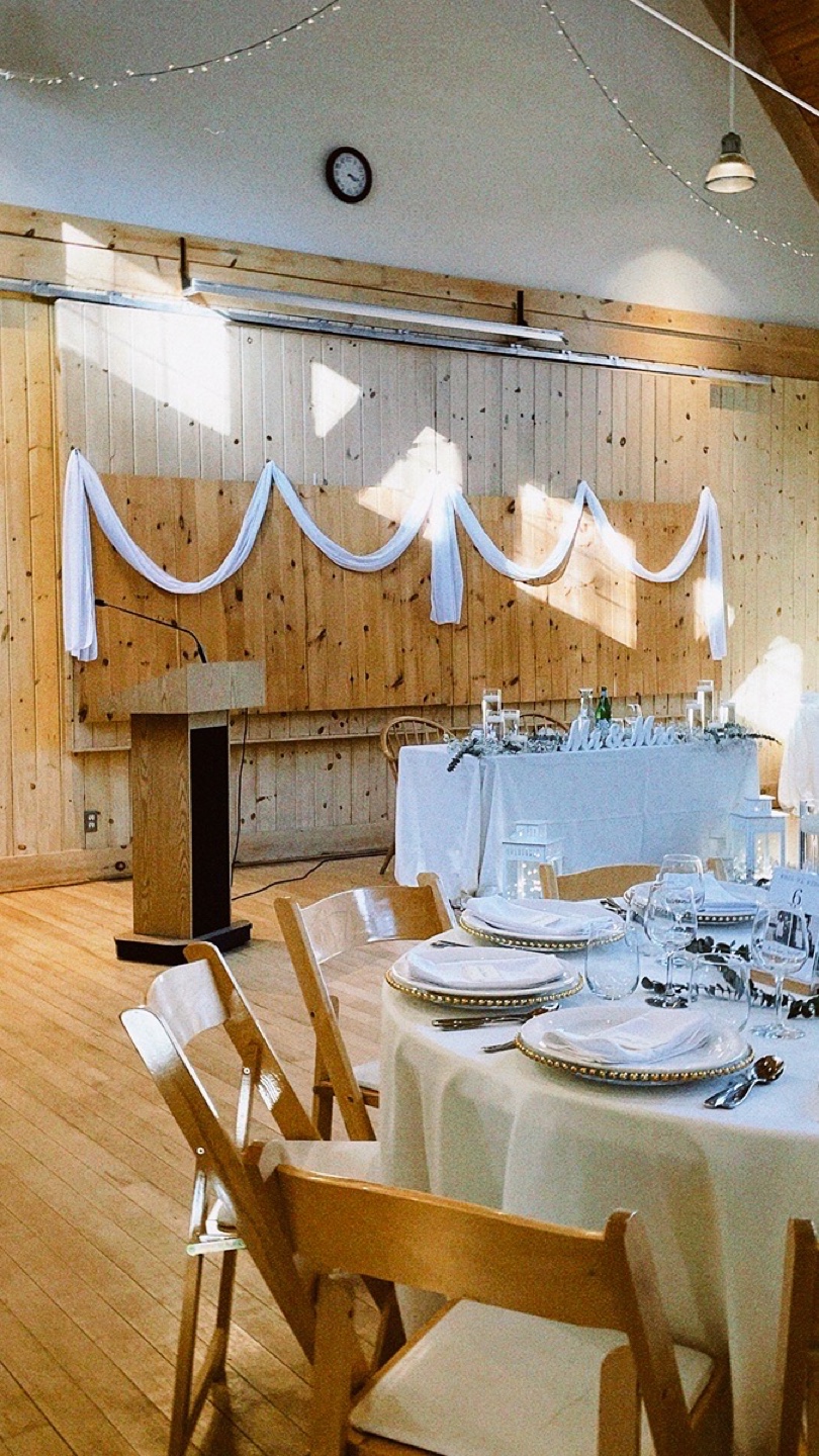 Wedding Arch Drape Fabric - White Chiffon - photo 3