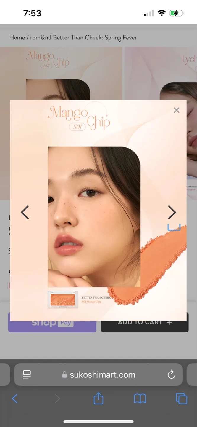 rom&nd Better Than Cheek Mango Chip image indicator(2)