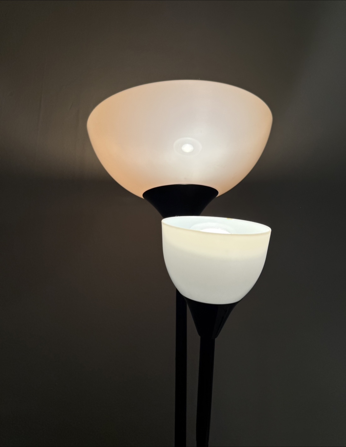 Two-light Floor Lamp - Black and White