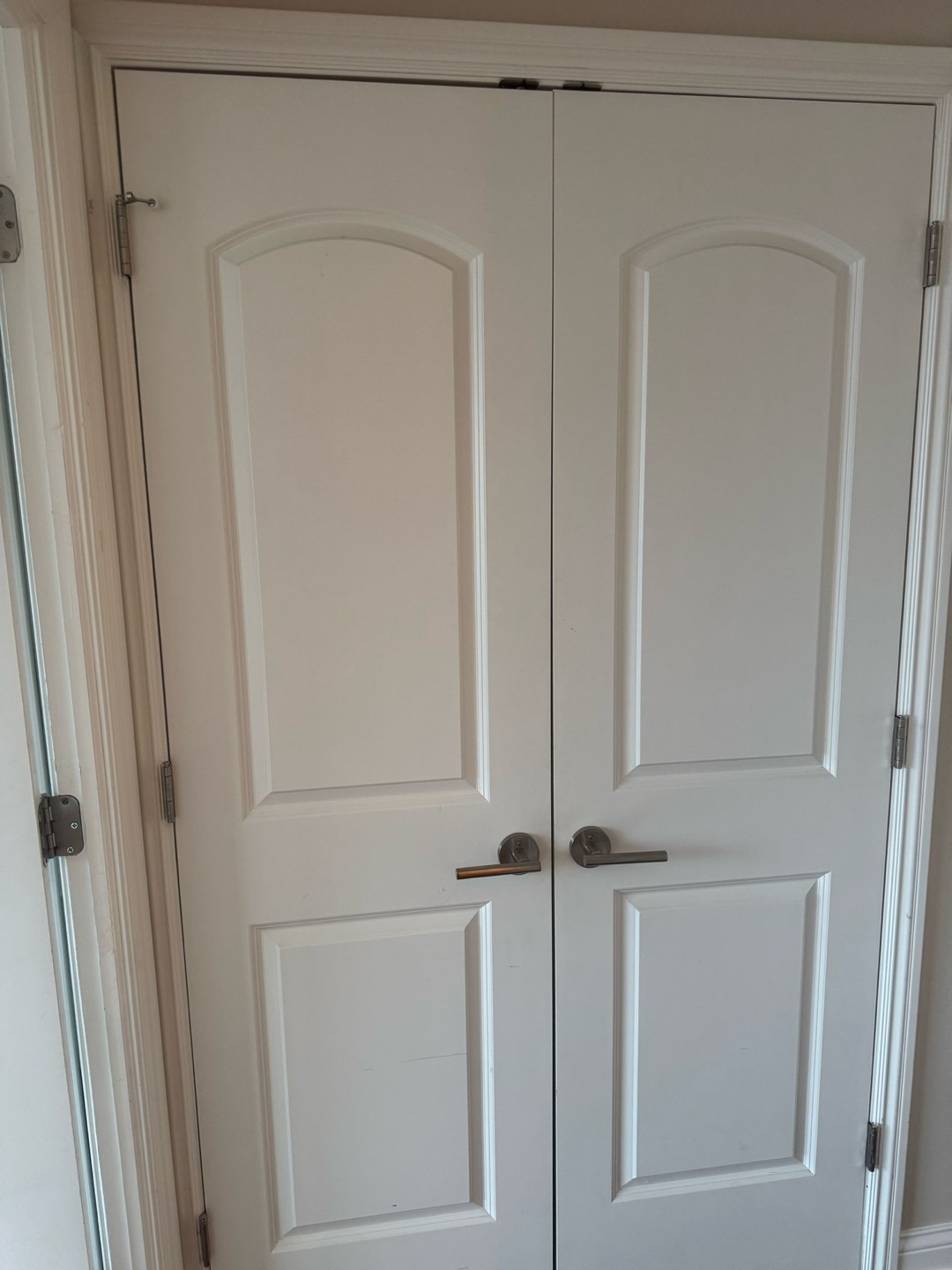 White Double Closet Doors with Brushed Nickel Hardware - photo 3