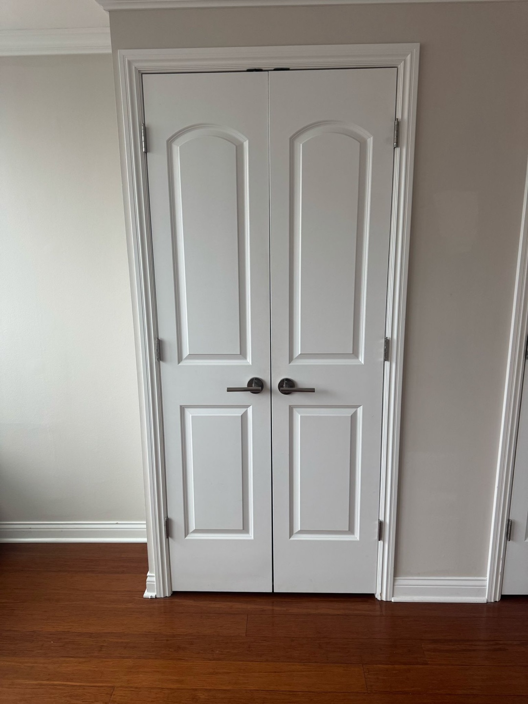 White Double Closet Doors with Brushed Nickel Hardware