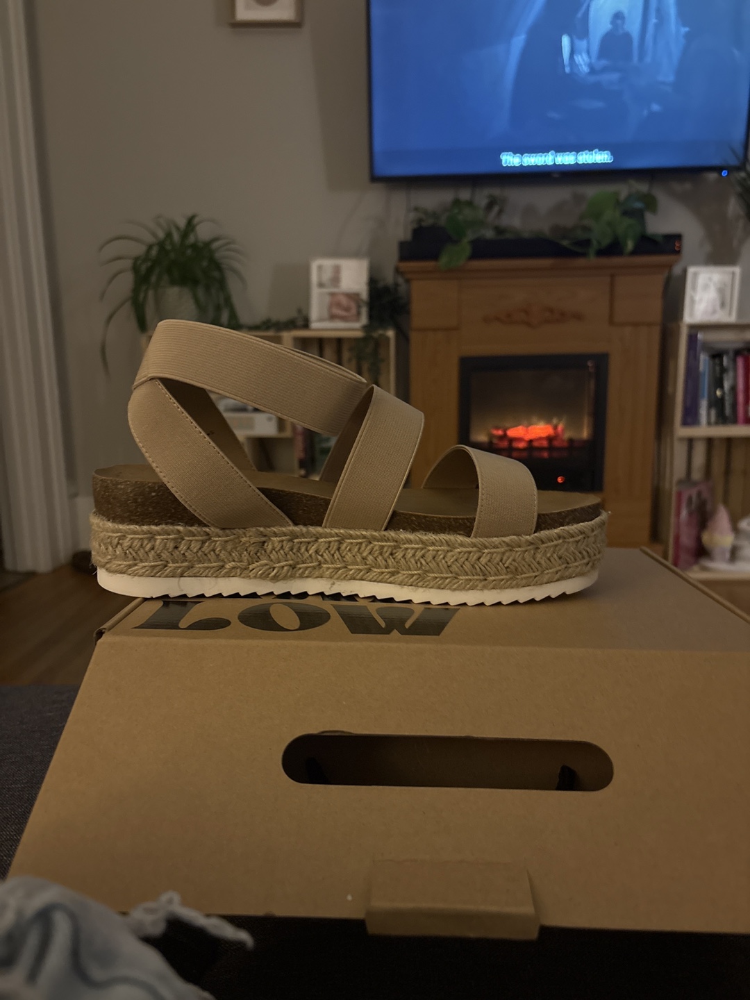 Women's Beige Platform Sandals