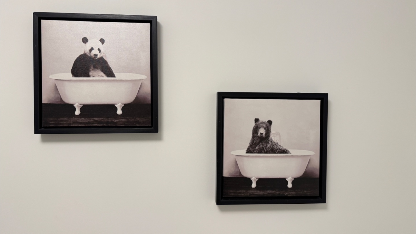 Paintings - photo 3