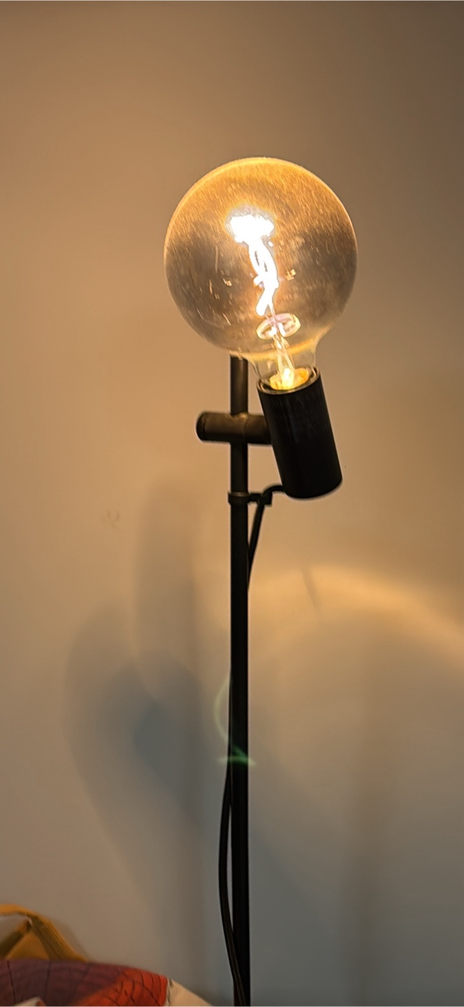 Black Metal Floor Lamp with Globe Bulb