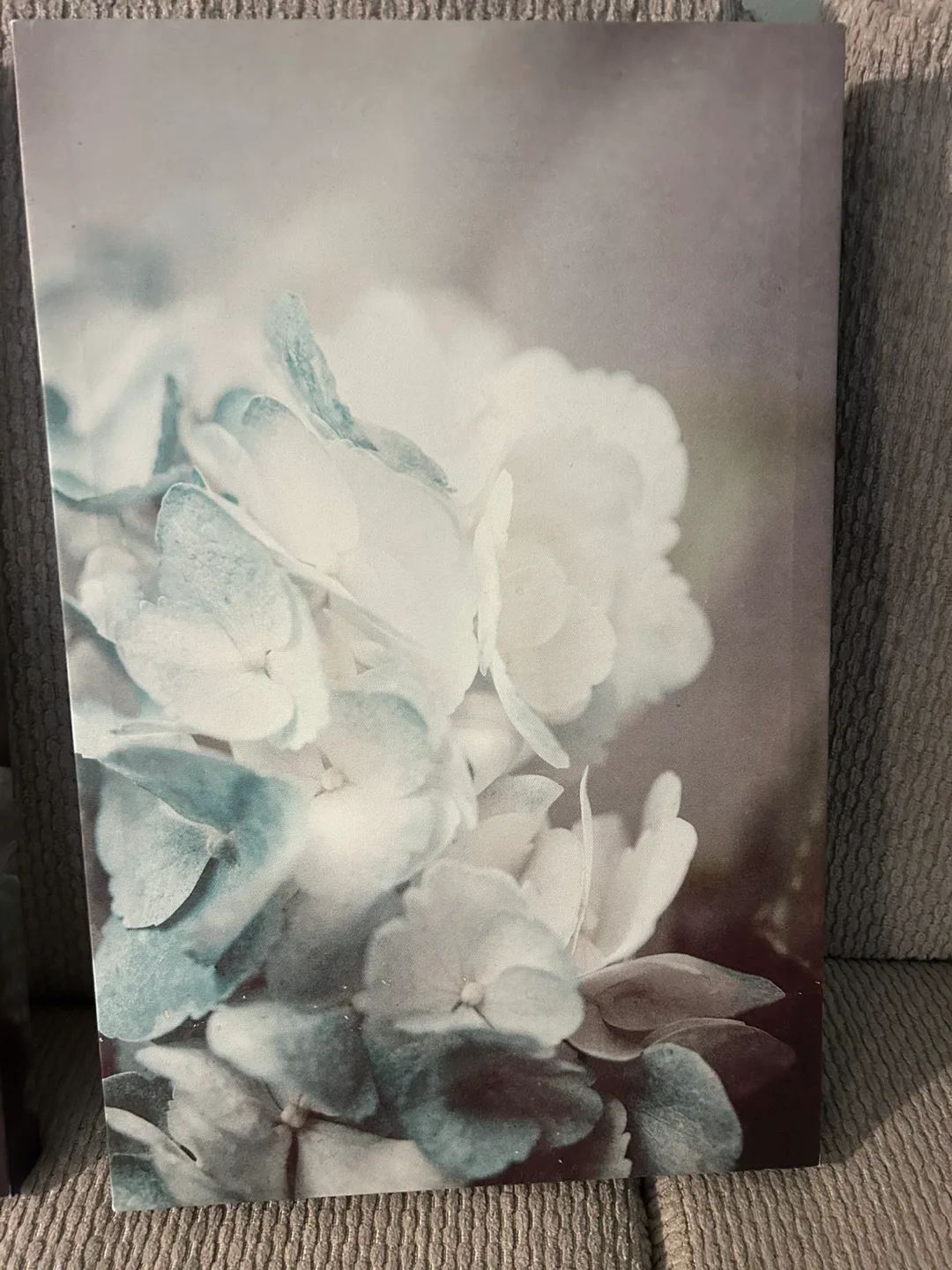 Pair of Hydrangea Canvas Prints image indicator(2)