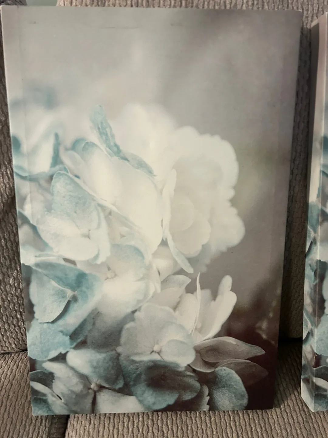 Pair of Hydrangea Canvas Prints image indicator(3)