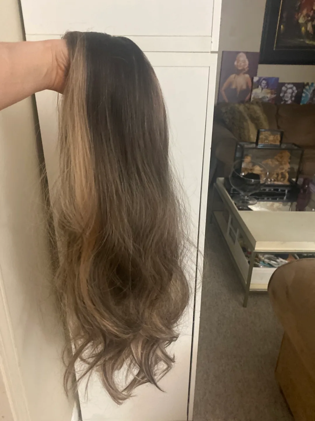 Long Brown and Blonde Ombre Wig image indicator(3)