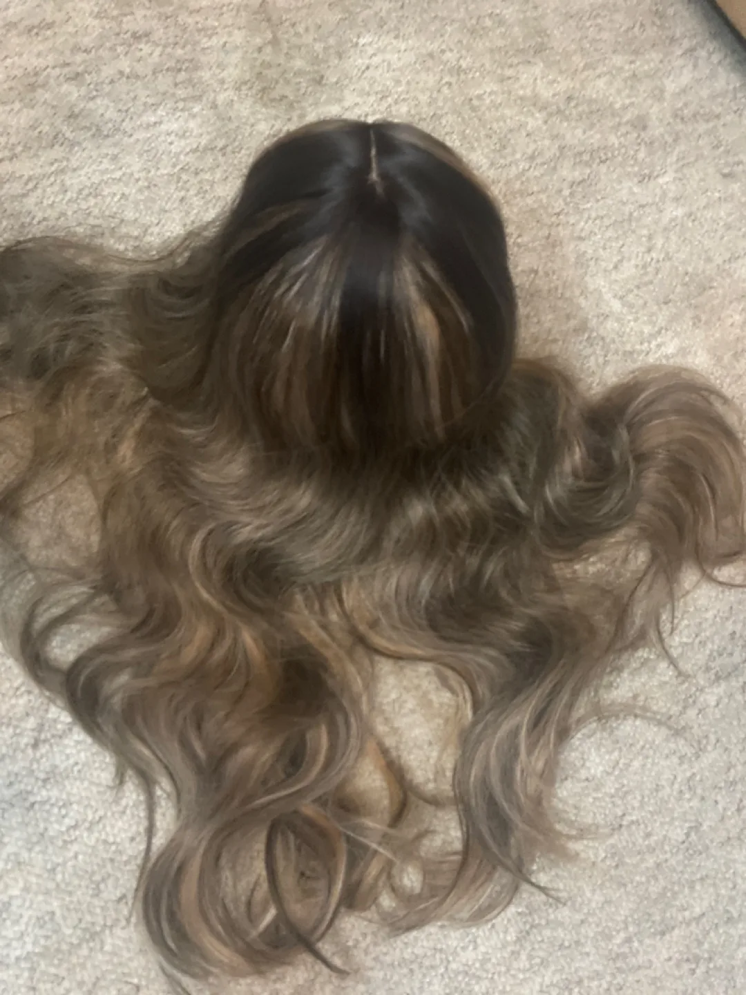 Long Brown and Blonde Ombre Wig image indicator(2)