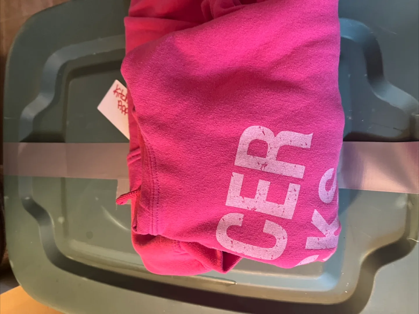 Pink Cancer Sucks Hoodie - Size XL image indicator(5)