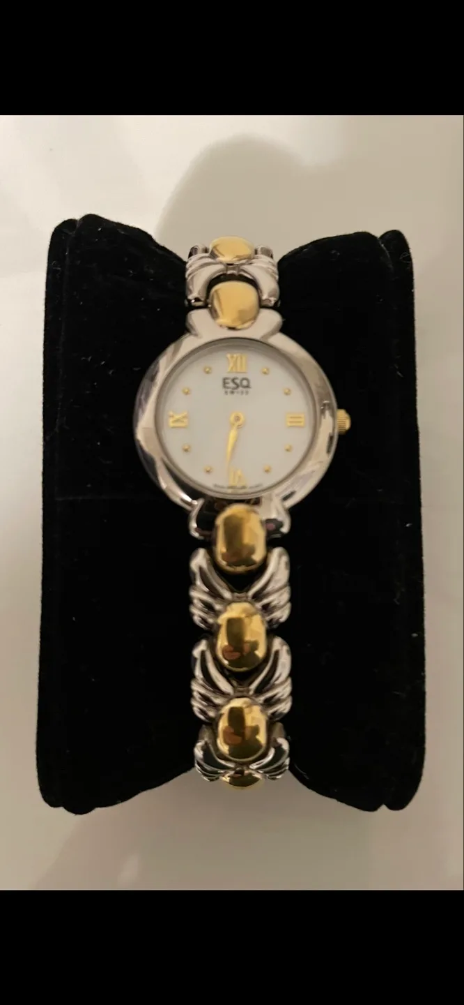 Ladies esq watch thumbnail