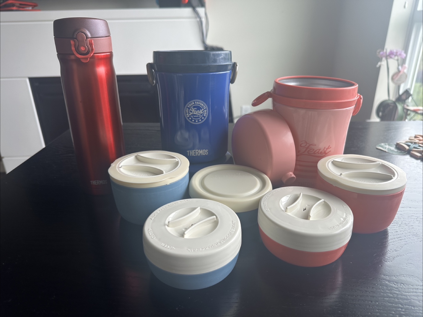 Thermos Food Jars and Tumbler Set
