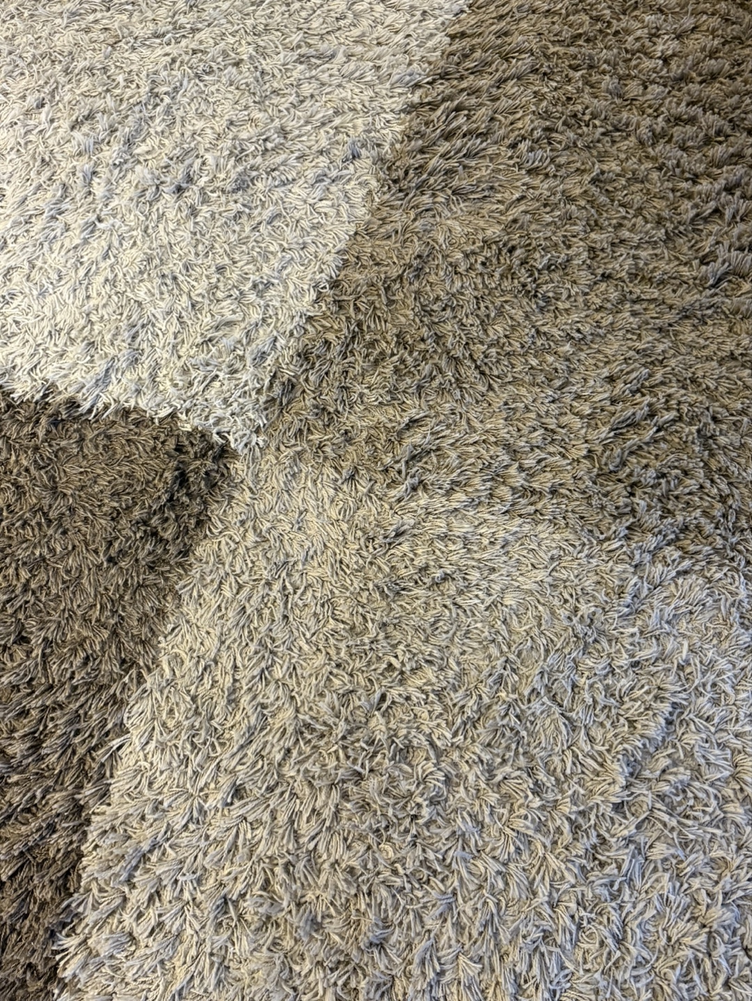 Artica Shaggy Area Rug - Neutral Tones - photo 2
