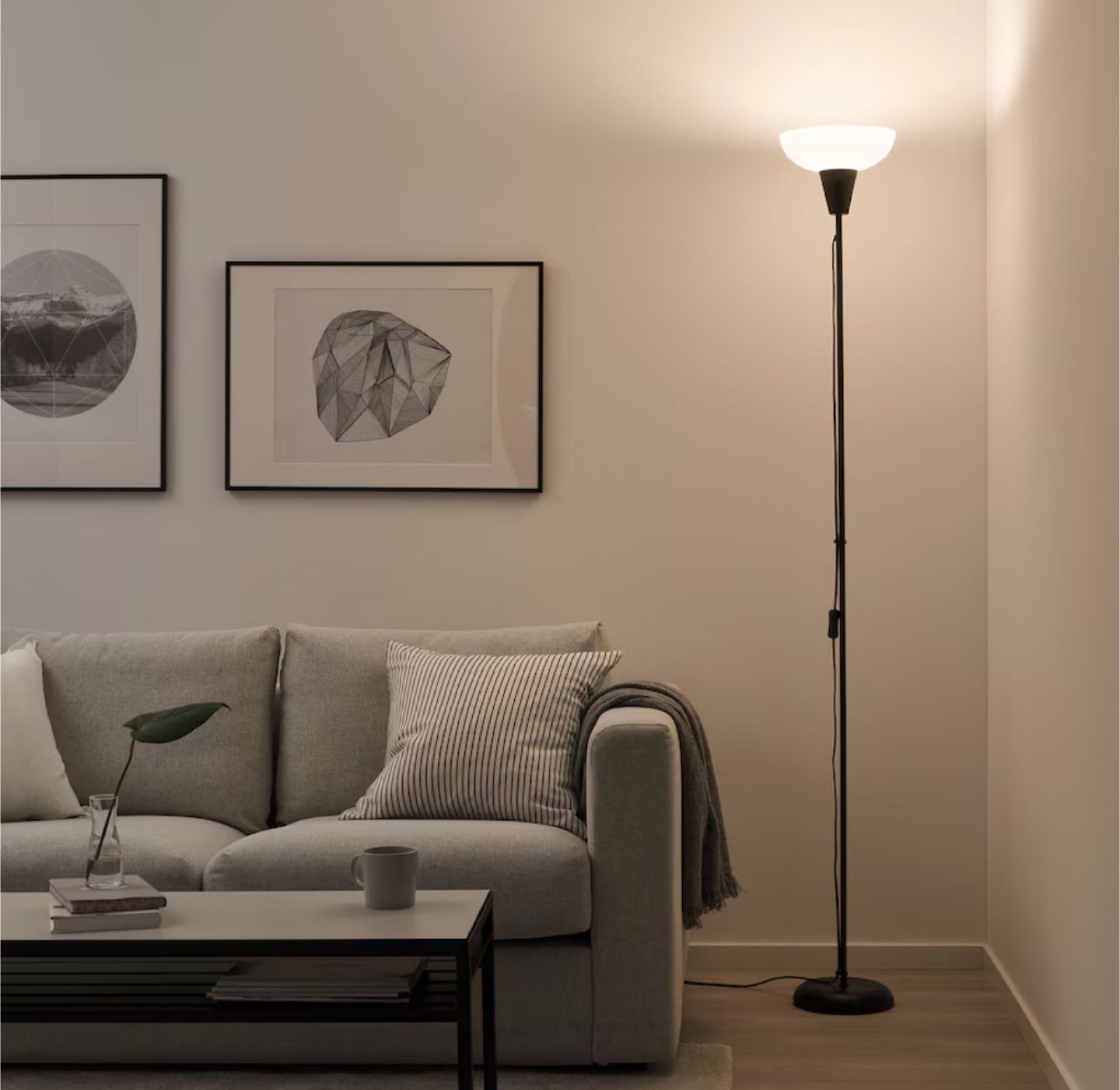 IKEA Black Floor Lamp