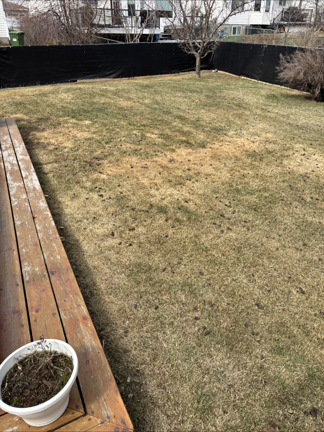 Cadillac Lawn Care Services - photo 2