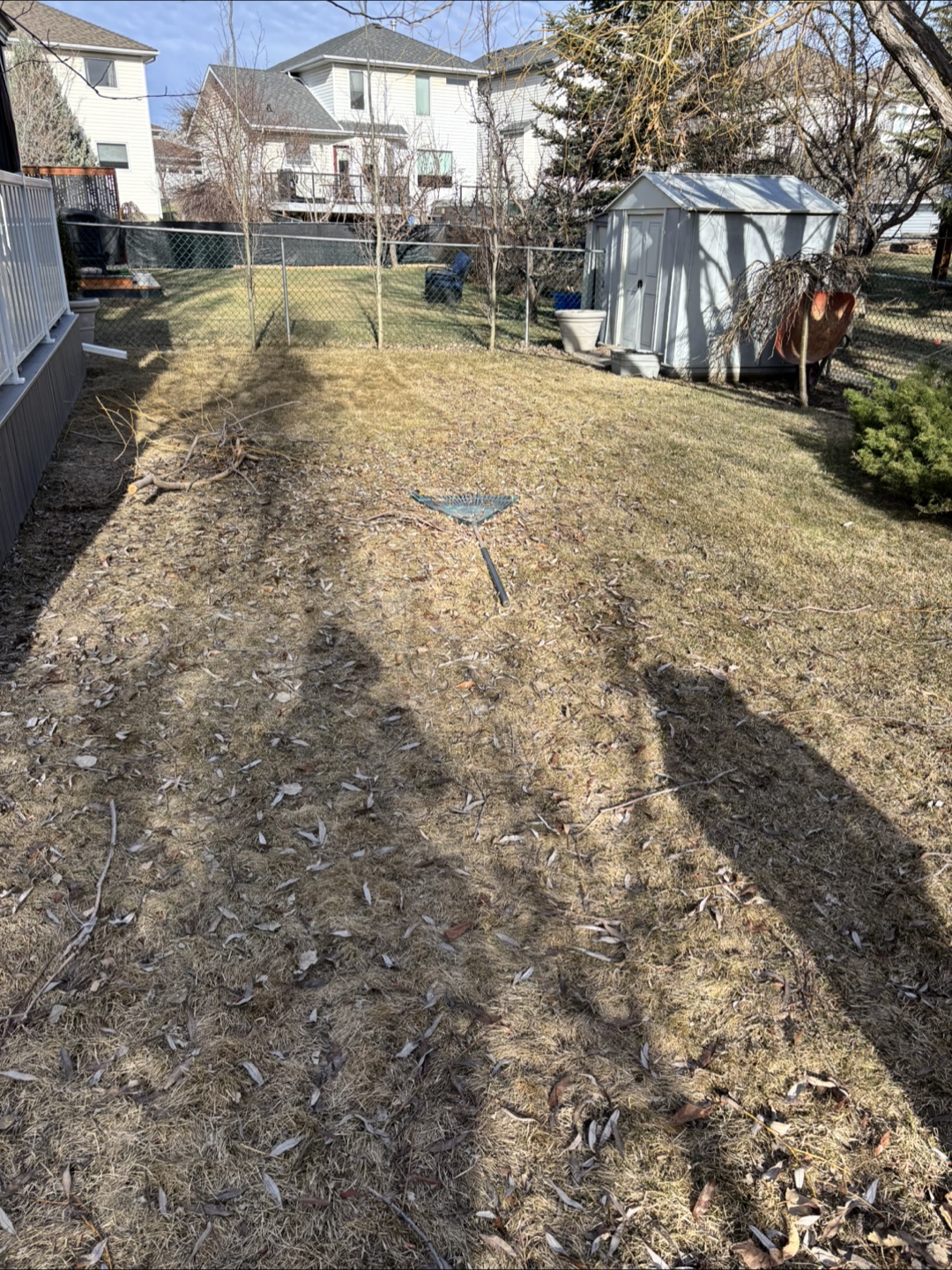 Cadillac Lawn Care Services - photo 4