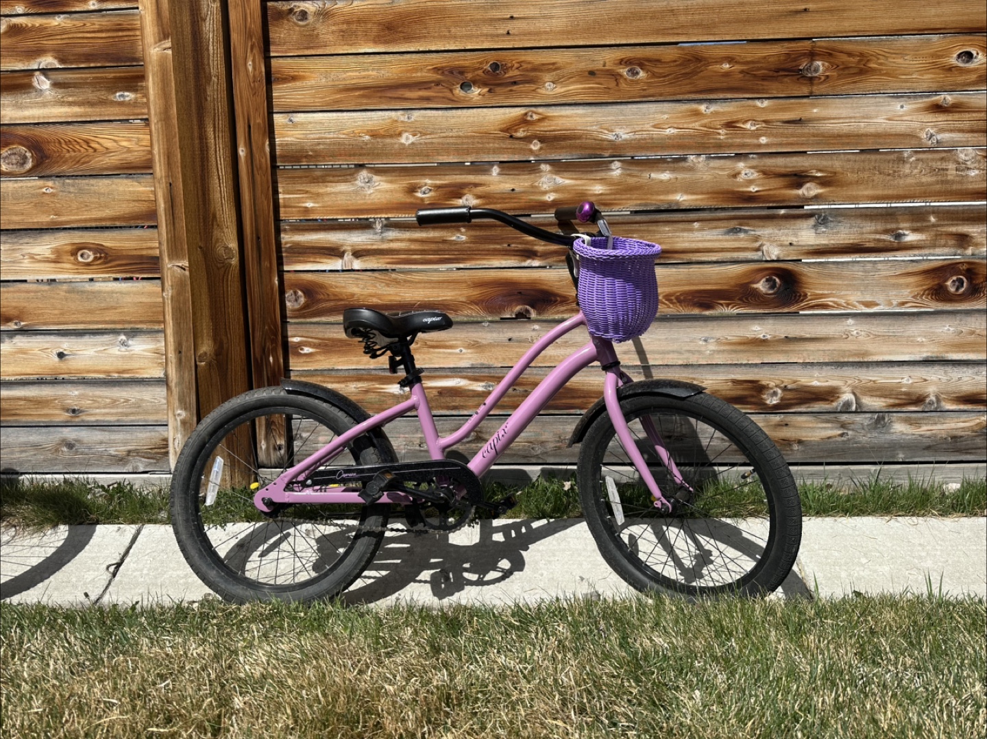 Girls Cruiser Bike with Basket