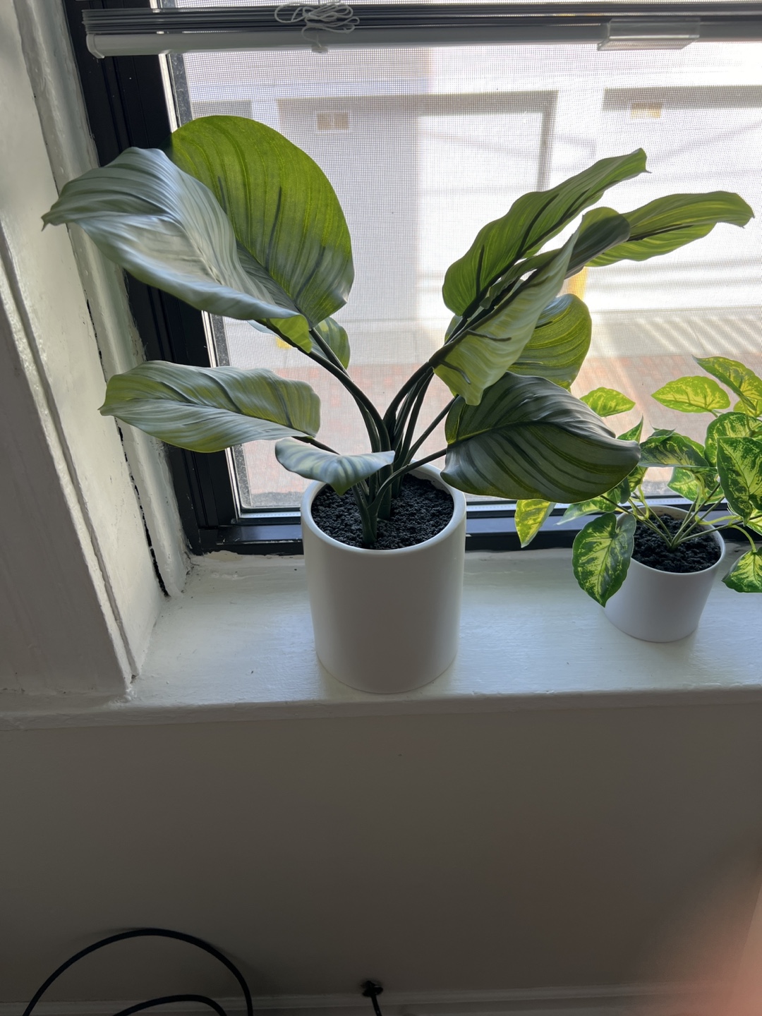 Artificial Bird of Paradise Plant in White Pot