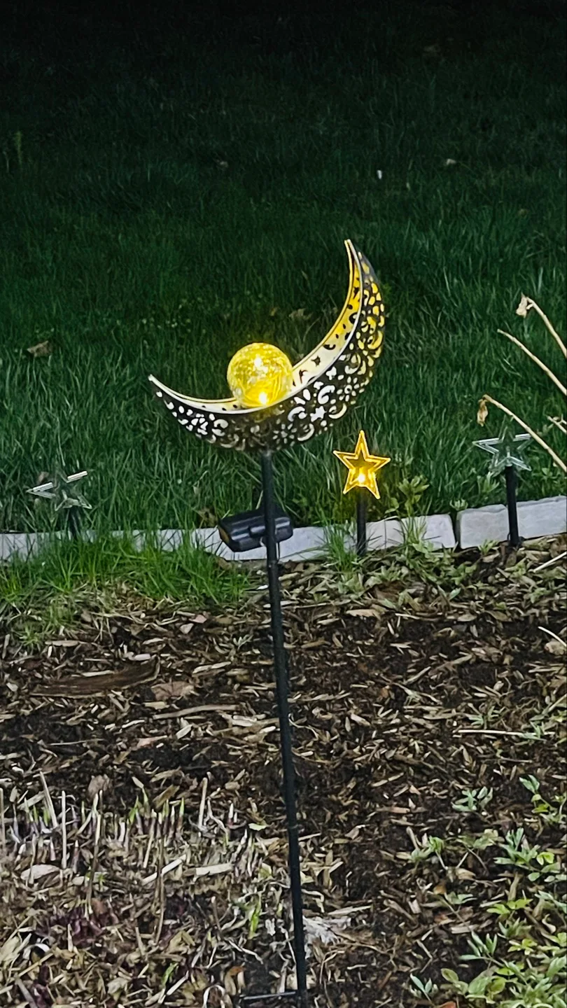 Solar Powered Crescent Moon Garden Light thumbnail