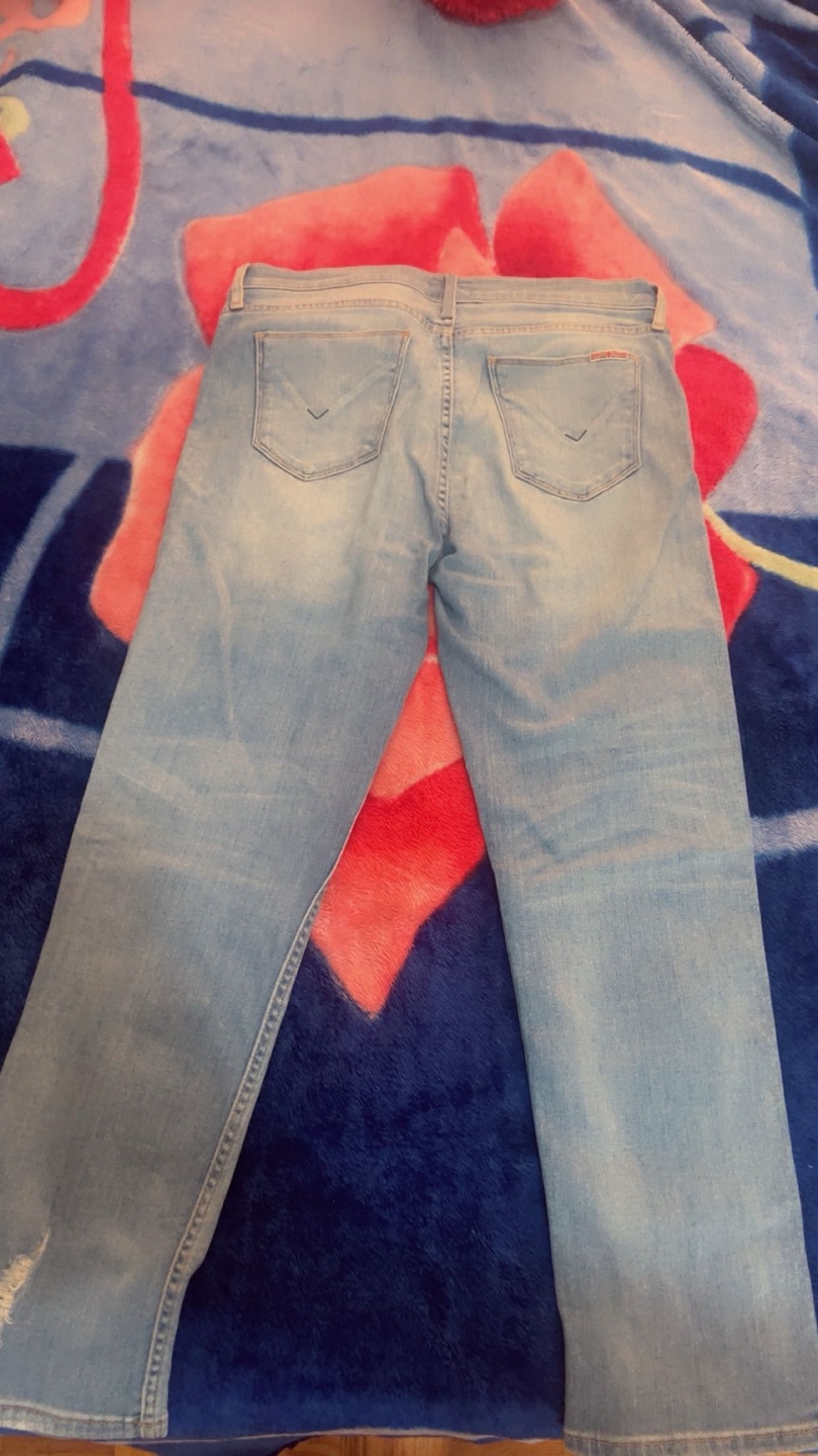 Hudson Jeans - Light Wash - Size 28 - photo 2