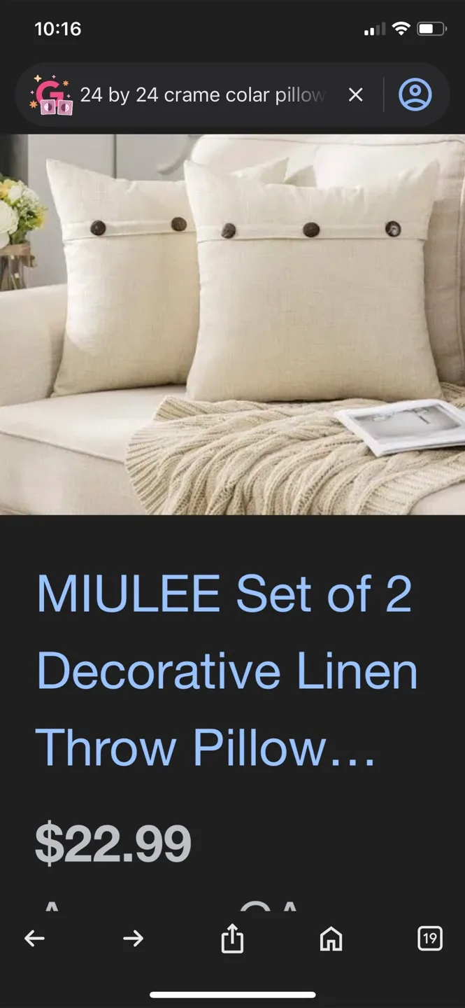 2 beautiful brand new decorative pillows covers image indicator(2)