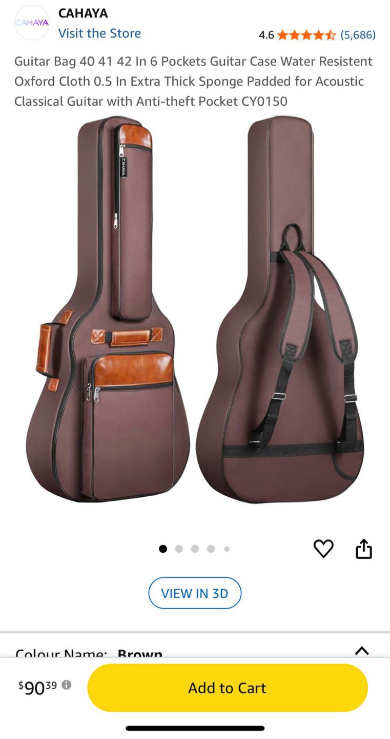 Guitar Gig Bag