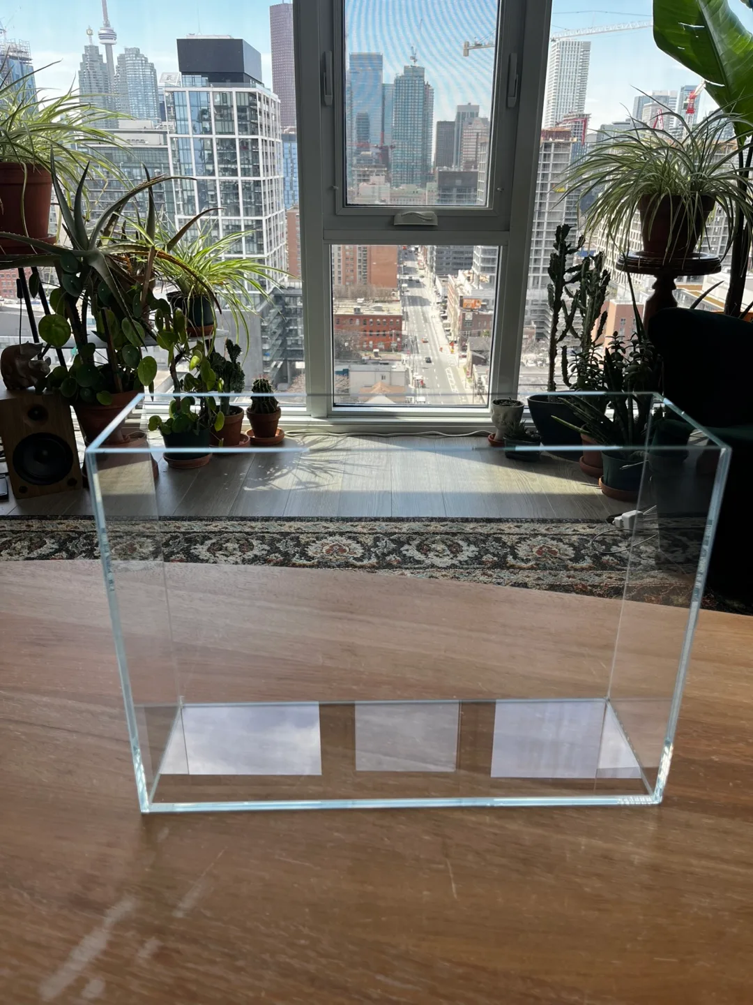 3 Gallon Clear Glass Display Case/Riser aquarium. thumbnail