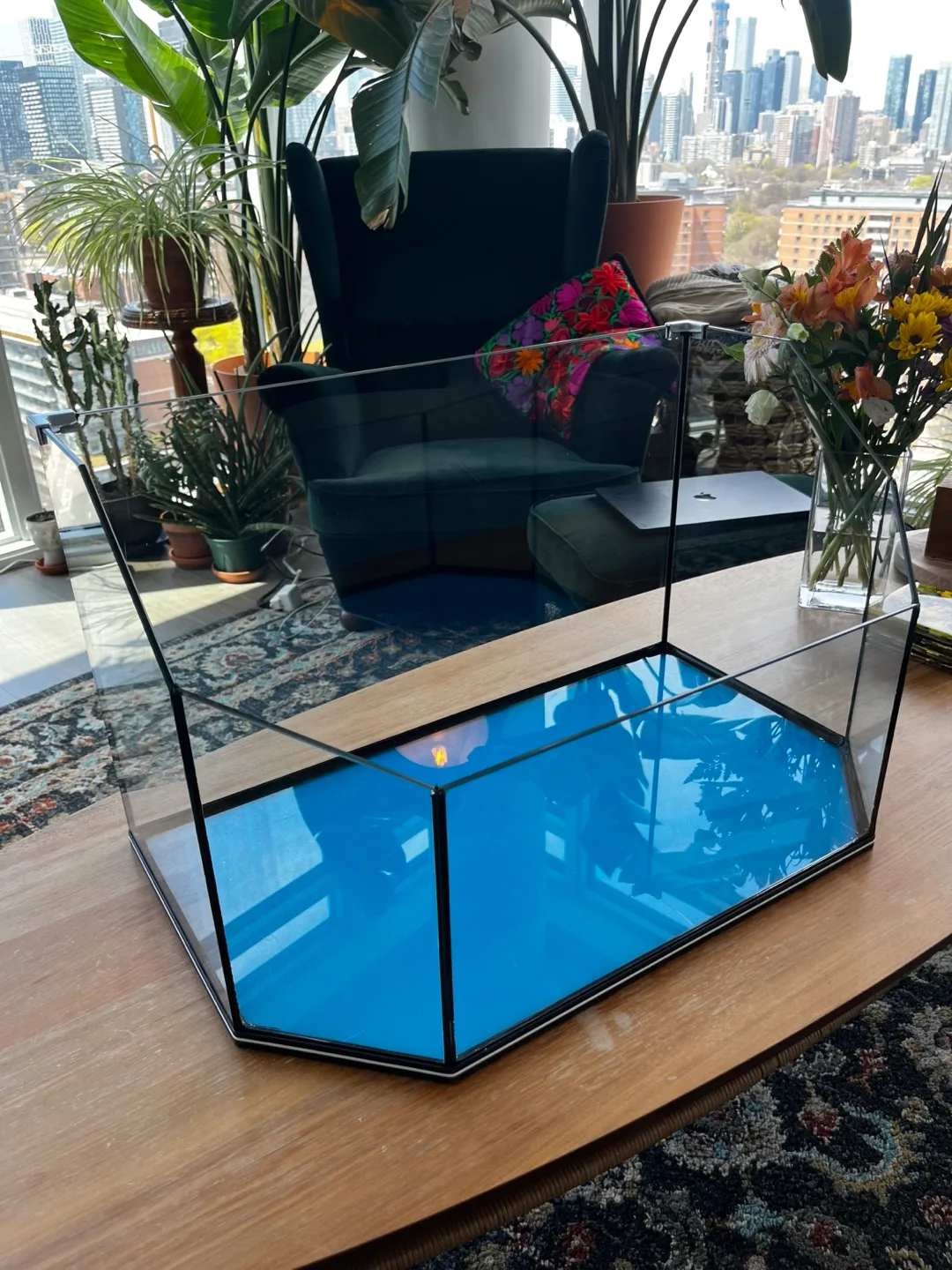 Hexagon Glass Terrarium Aquarium thumbnail