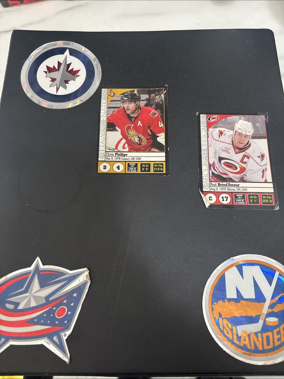 Hockey card binder