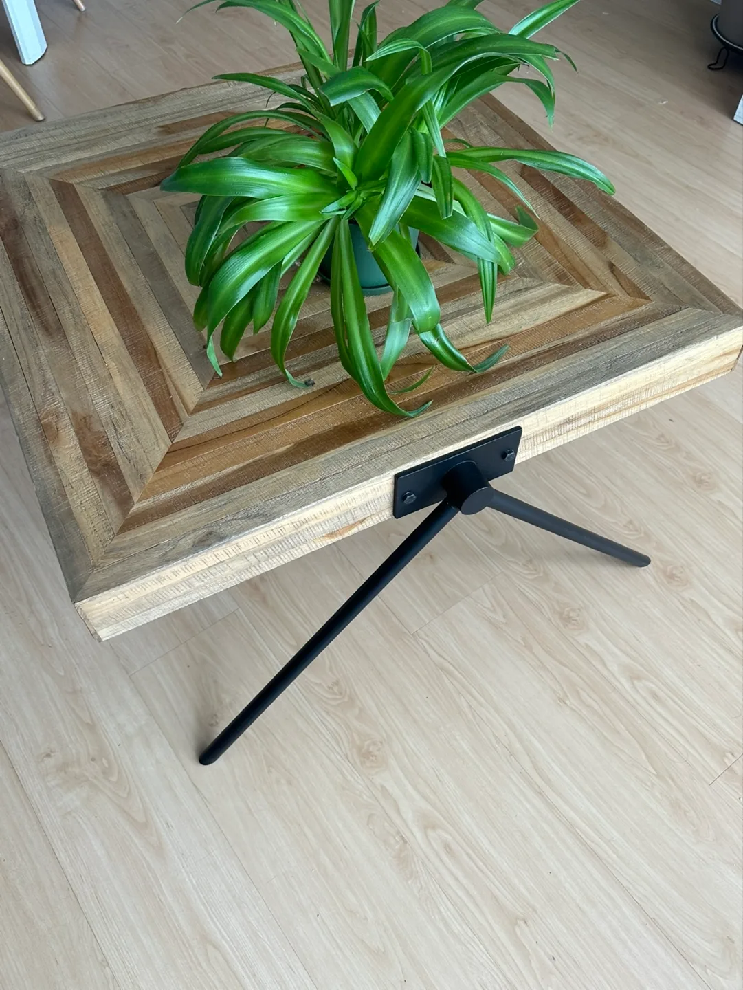 Teak Wood Coffee Table with black  Legs image indicator(2)