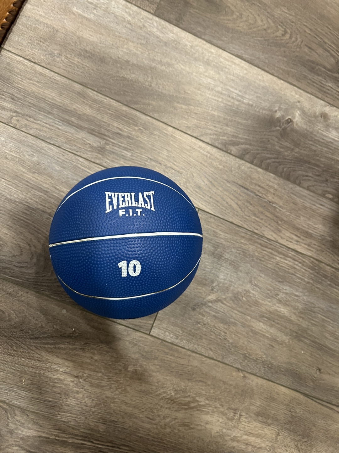 Everlast 10lb Medicine Ball