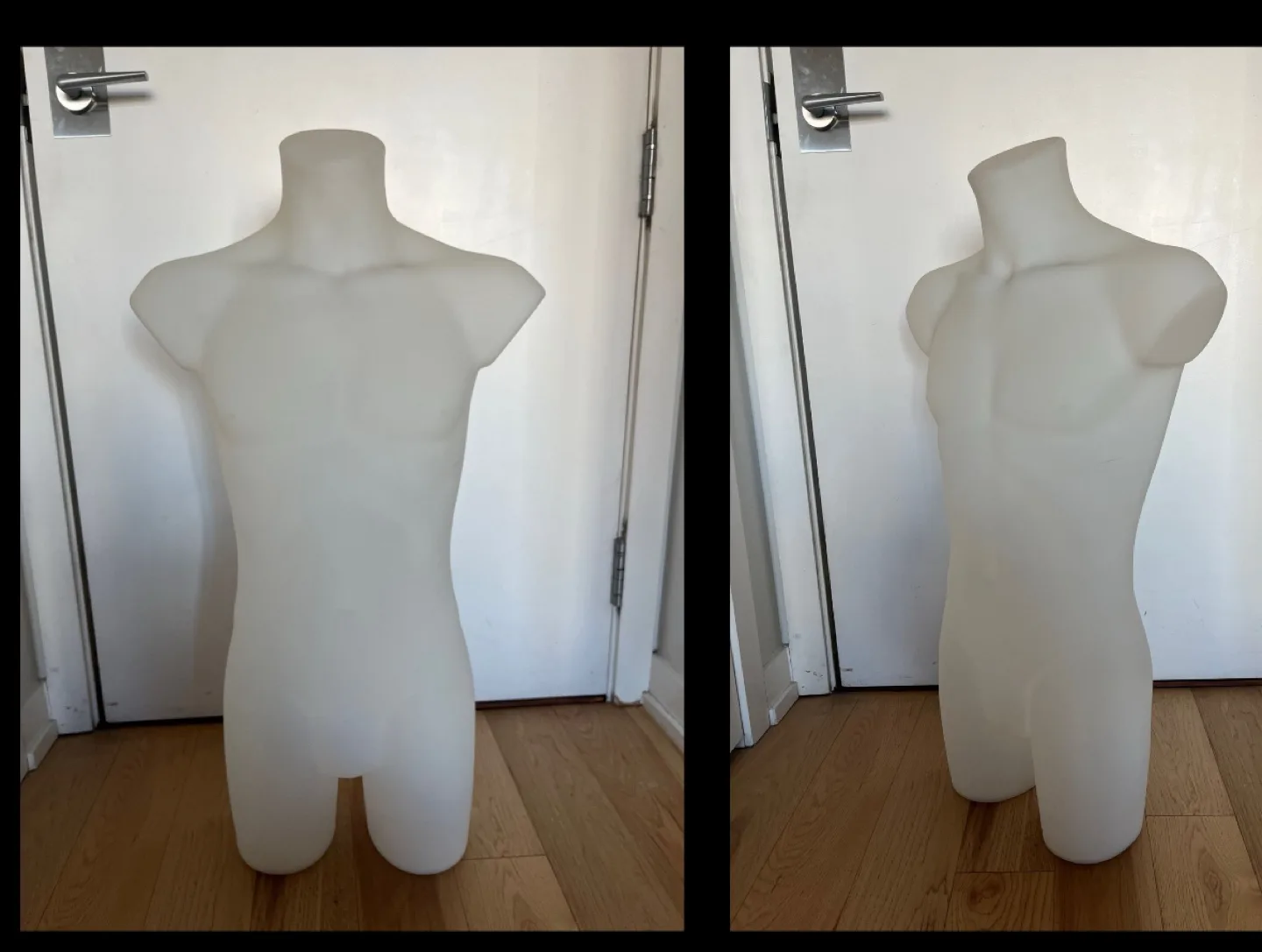 Male Mannequin Torso thumbnail