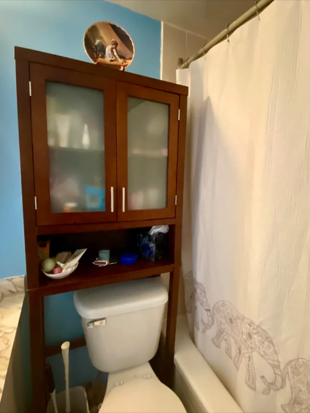FREE Bathroom Storage Cabinet thumbnail