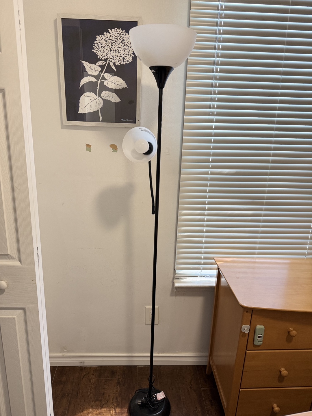 Black Floor Lamp with Two Lights