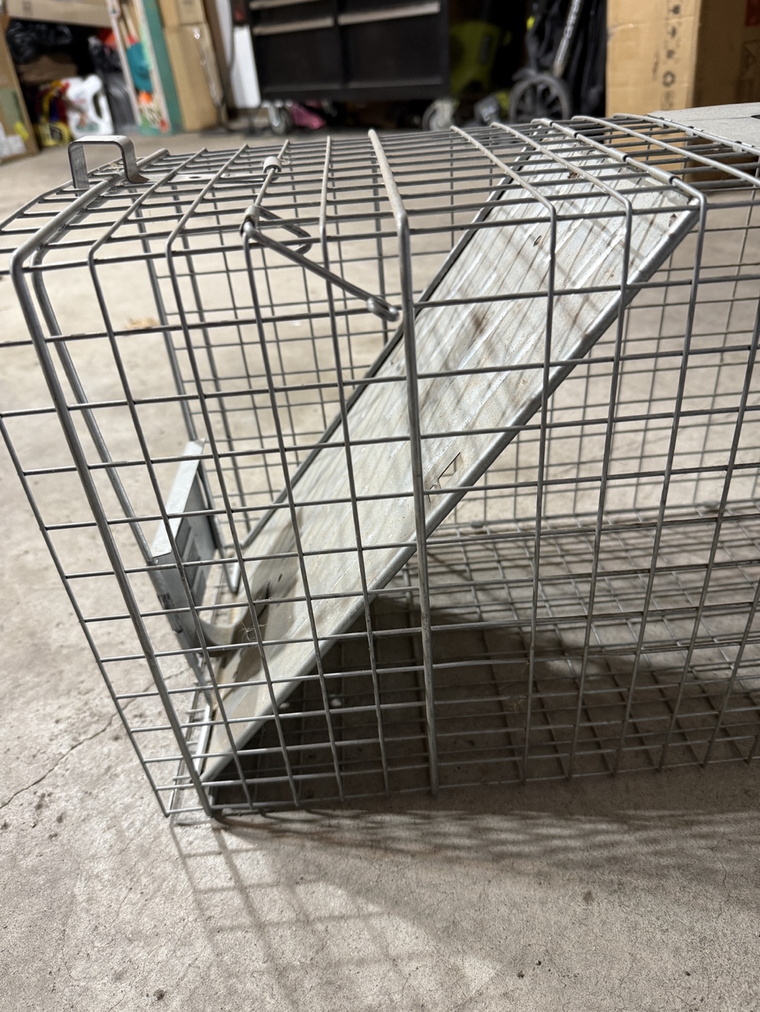 Havahart Large 1-door Live Animal Trap - photo 3