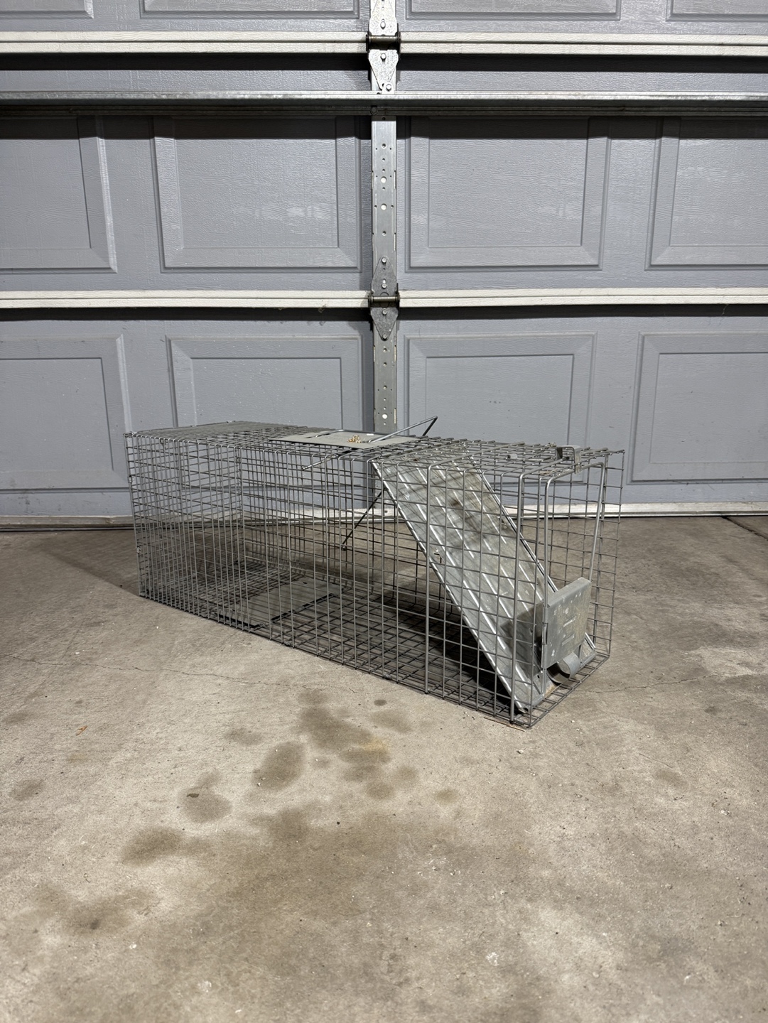 Havahart Large 1-door Live Animal Trap