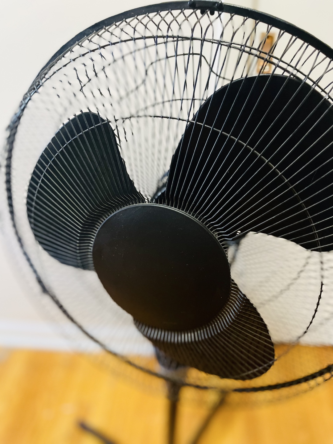 Stand Fan — Adjustable Height, 3 Blades