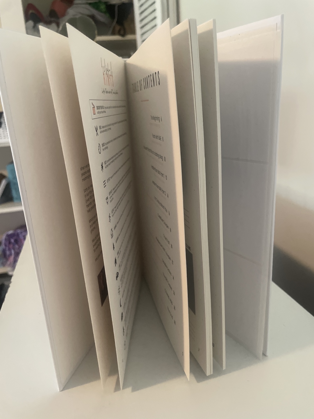 The Adventure Challenge Couples Edition Journal - photo 2